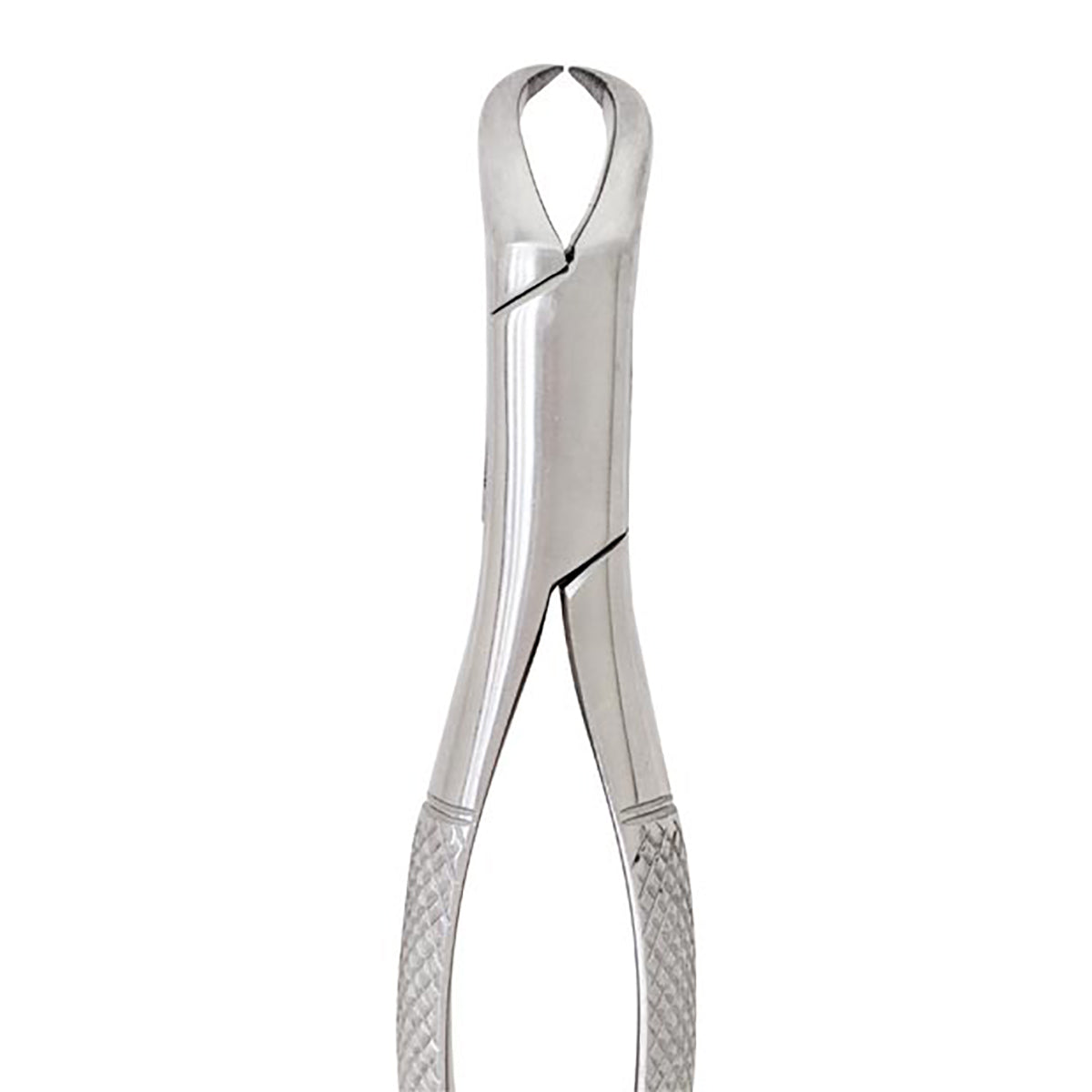 2 Premium German Dental Extracting Forceps #23 Cow Horn For Lower Molars - CYNAMED USA