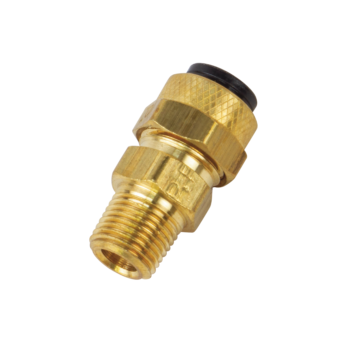 1/8 MPT 3/8" Compression Fitting