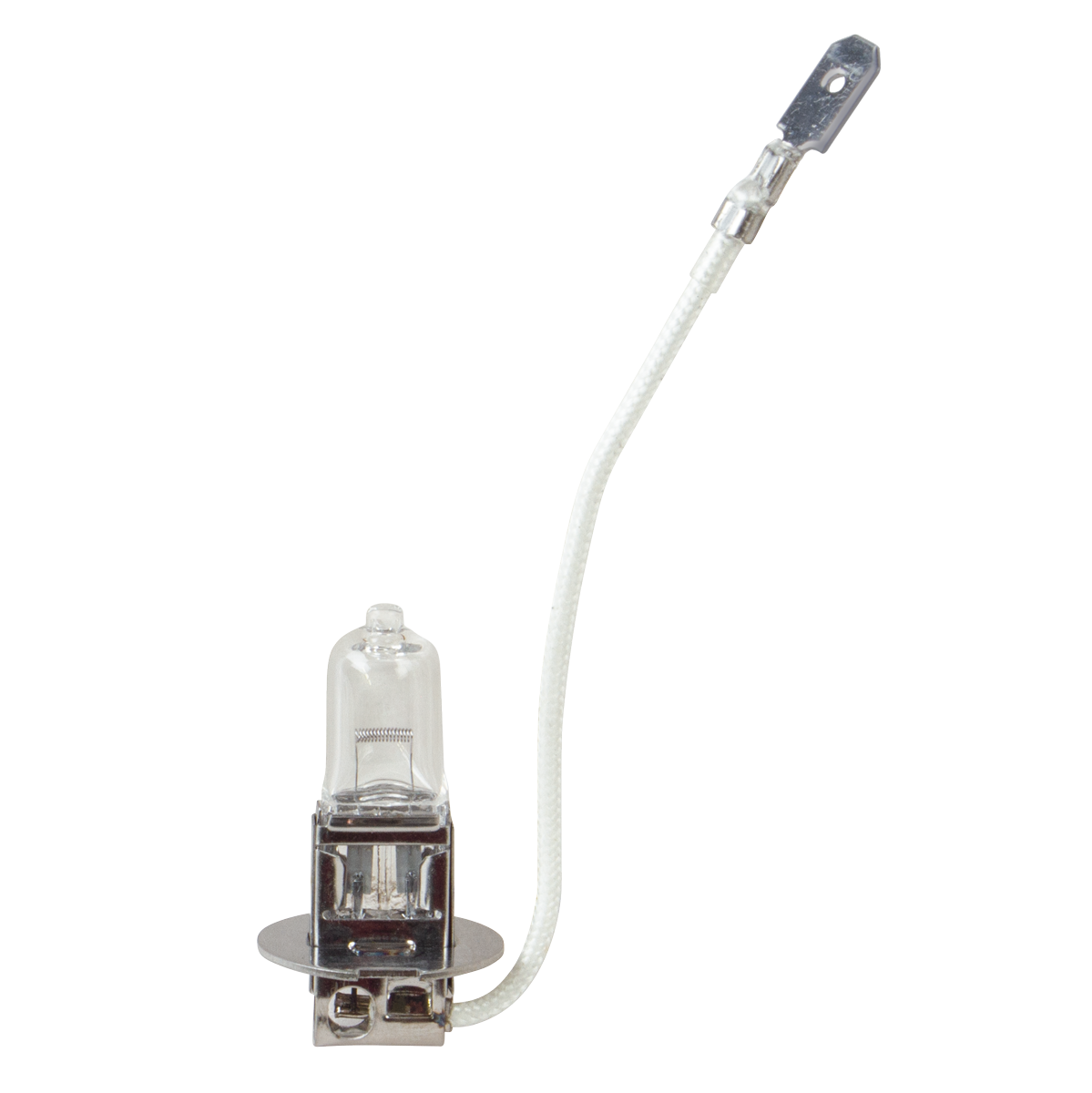 Exam & Operating Bulb (55W 12V)