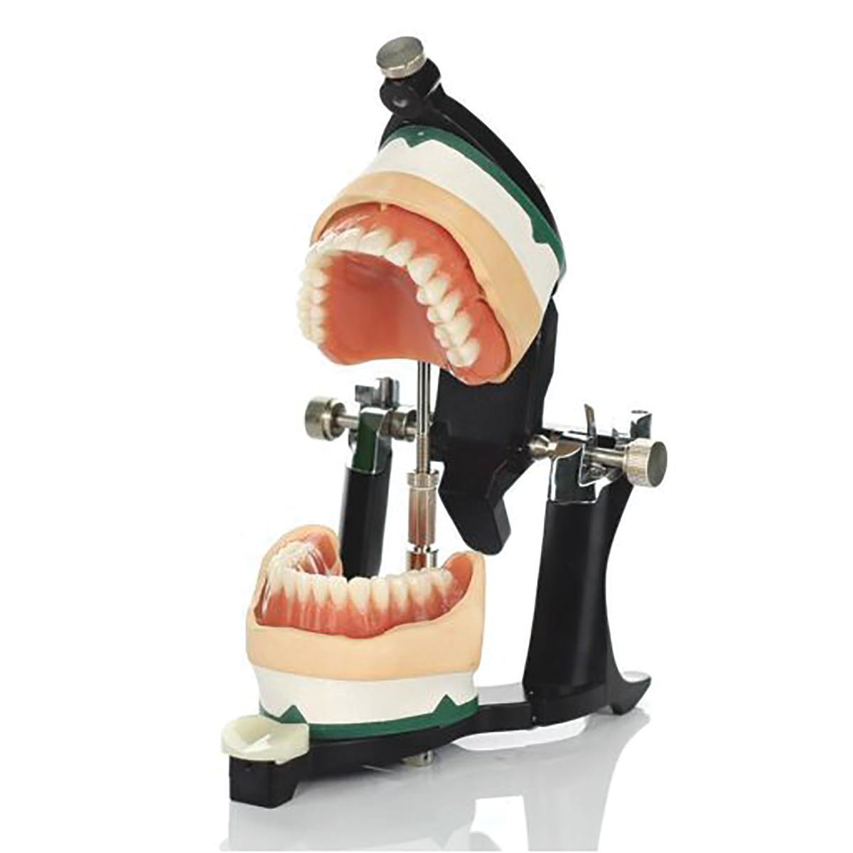 Luxury Deluxe Articulator