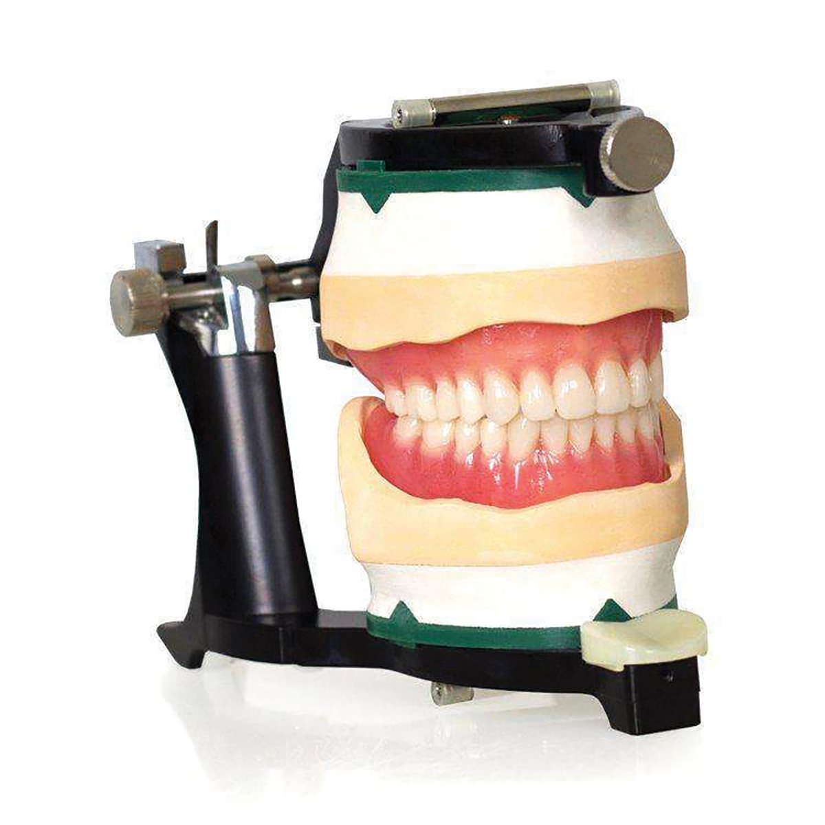 Luxury Deluxe Articulator