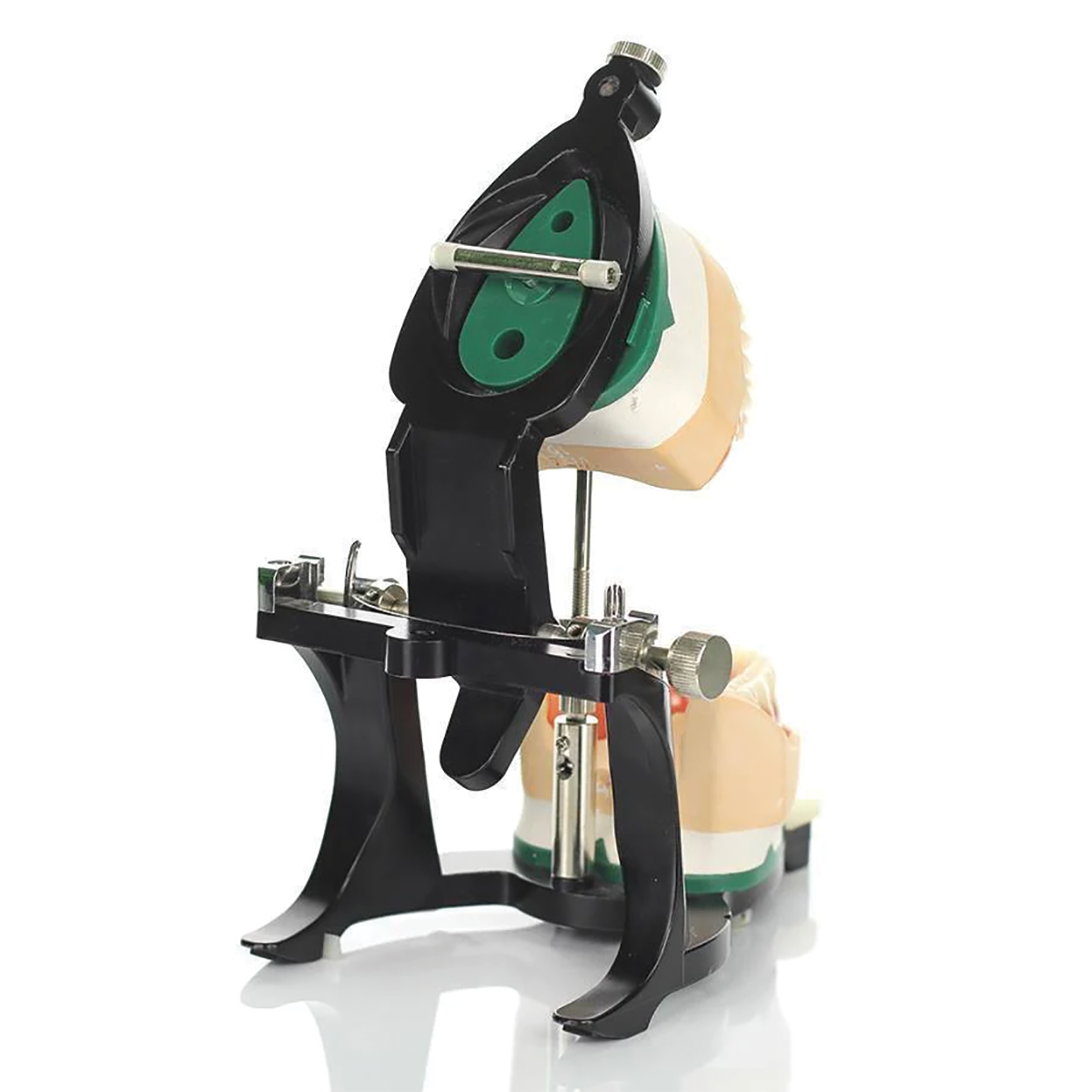 Luxury Deluxe Articulator