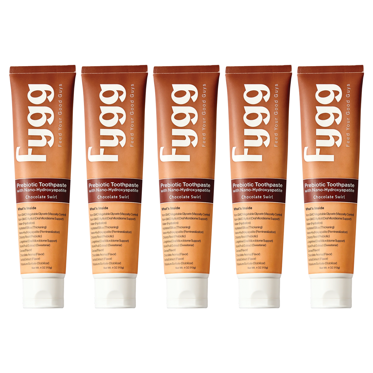 Pkg. of 5 Chocolate Swirl Fygg Toothpastes