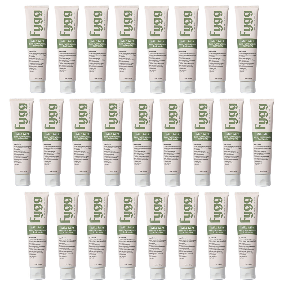 Fgg Toothpaste Fygg Mild Mint Toothpaste Pkg. 25
