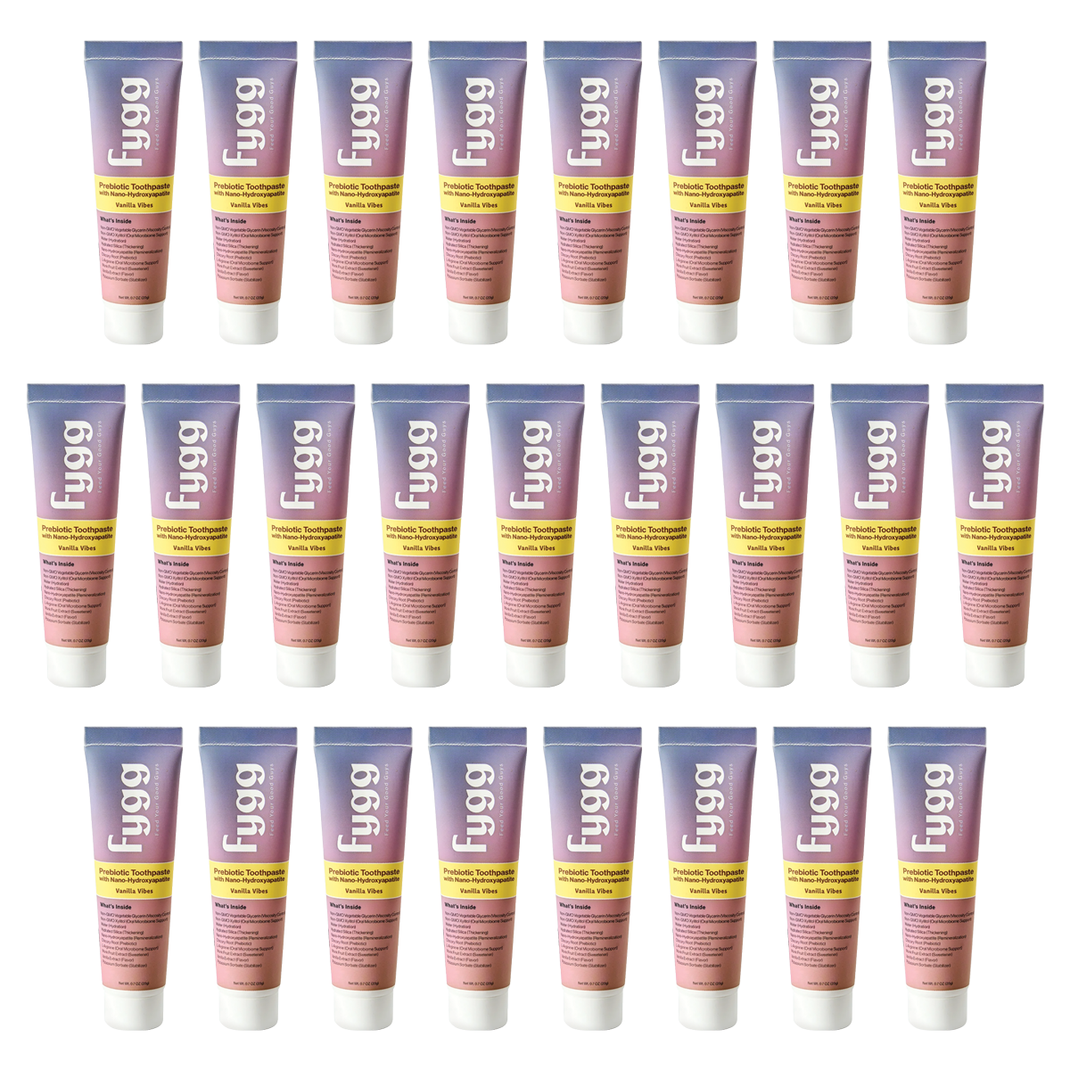 Pkg. of 25 Vanilla Fygg Toothpastes