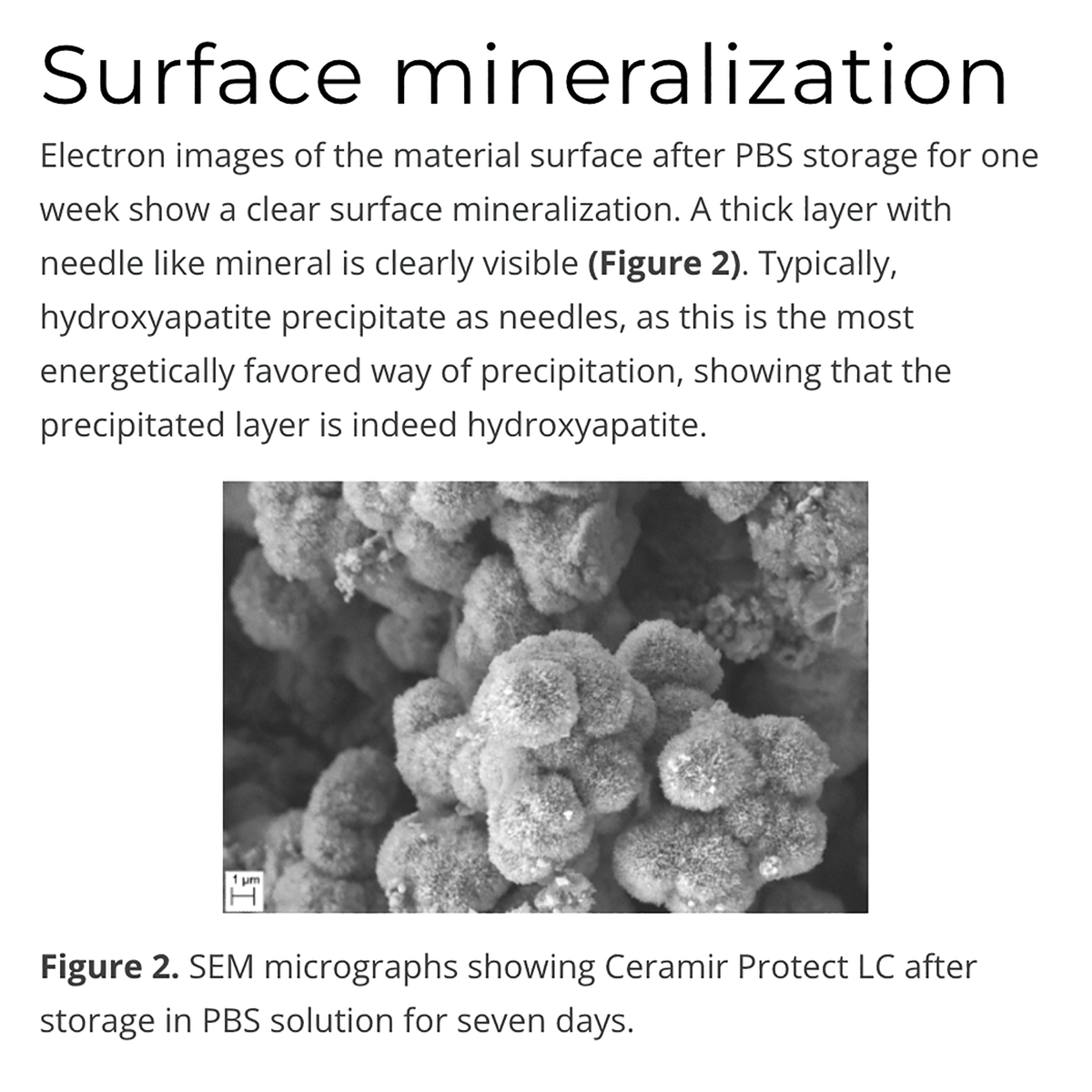 Surface Mineralization Feature