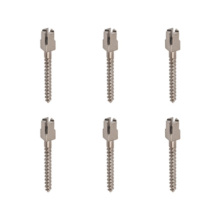 Package of 6 Titanium Composite Head Endo Screw Posts (12 mm)
