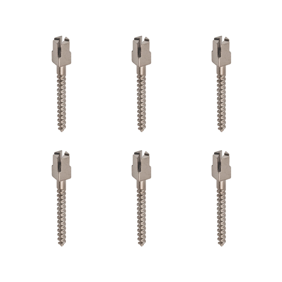 Package of 6 Titanium Composite Head Endo Screw Posts (12 mm)