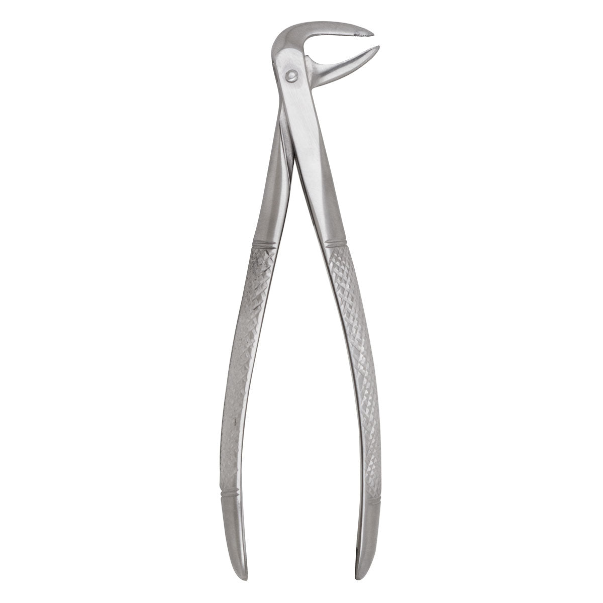 Extracting Forceps #74N Lower