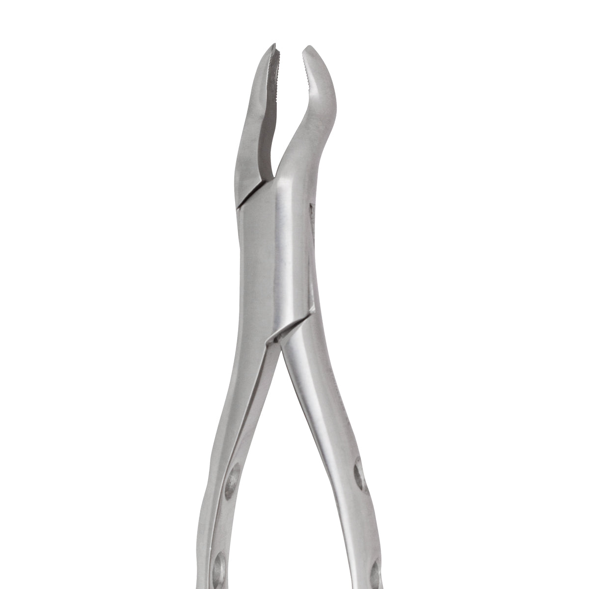 Extracting Forceps #53R Lower