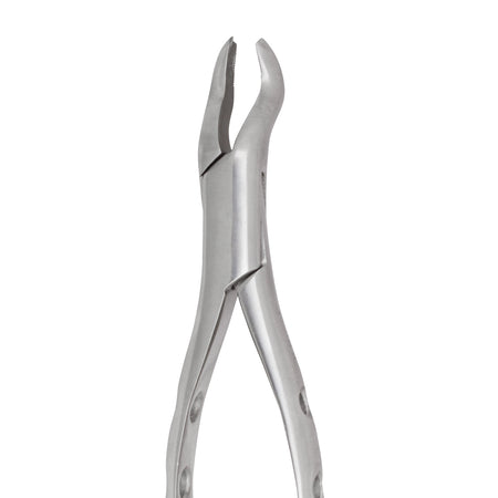 Extracting Forceps #53R Lower