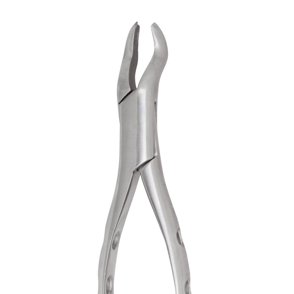 Extracting Forceps #53R Lower
