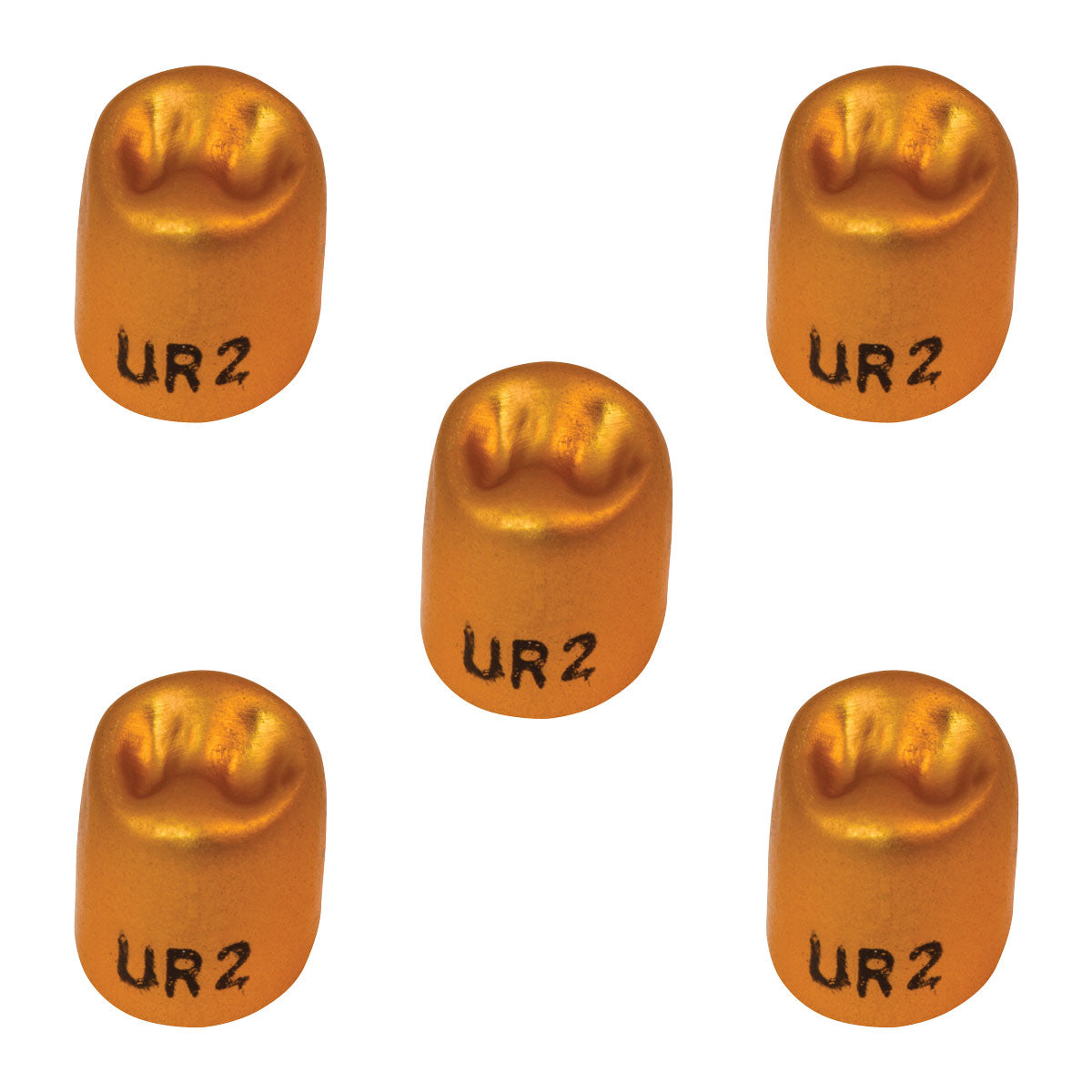 Pkg. of 5 Dexiter Gold Anodized Temporary Crowns (1st Upper Right Bicuspid)