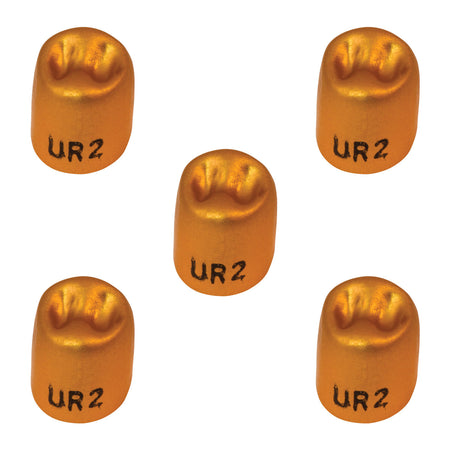Pkg. of 5 Dexiter Gold Anodized Temporary Crowns (1st Upper Right Bicuspid)