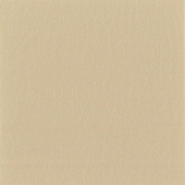 Sand US384