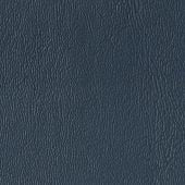 Sapphire PR55