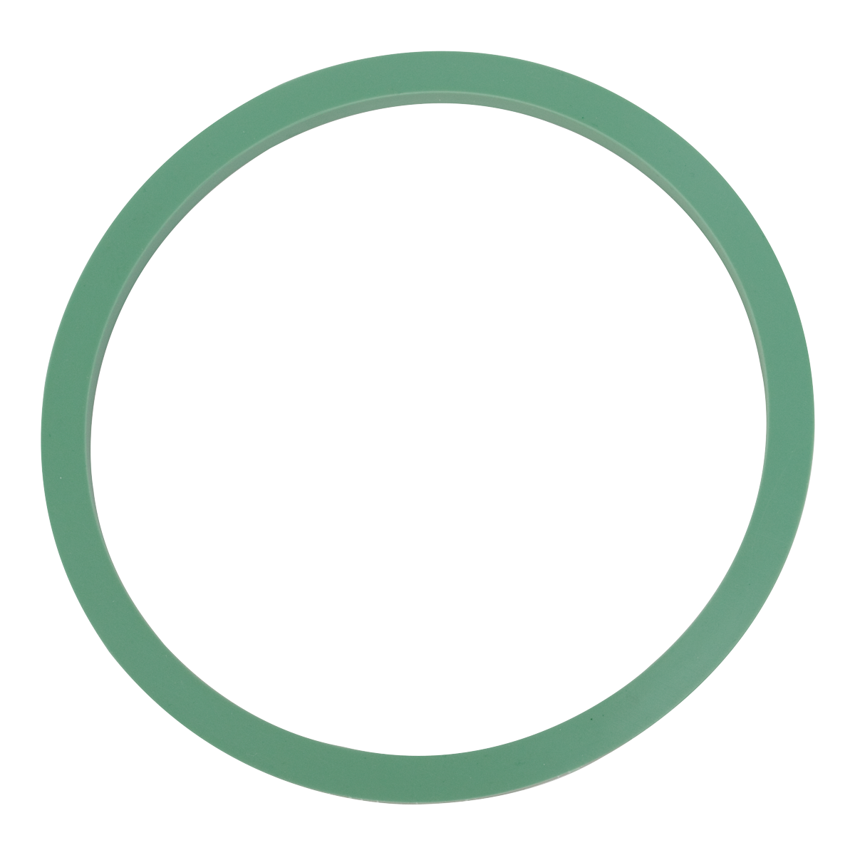 Door Gasket (Tuttnauer 2340, EZ9)