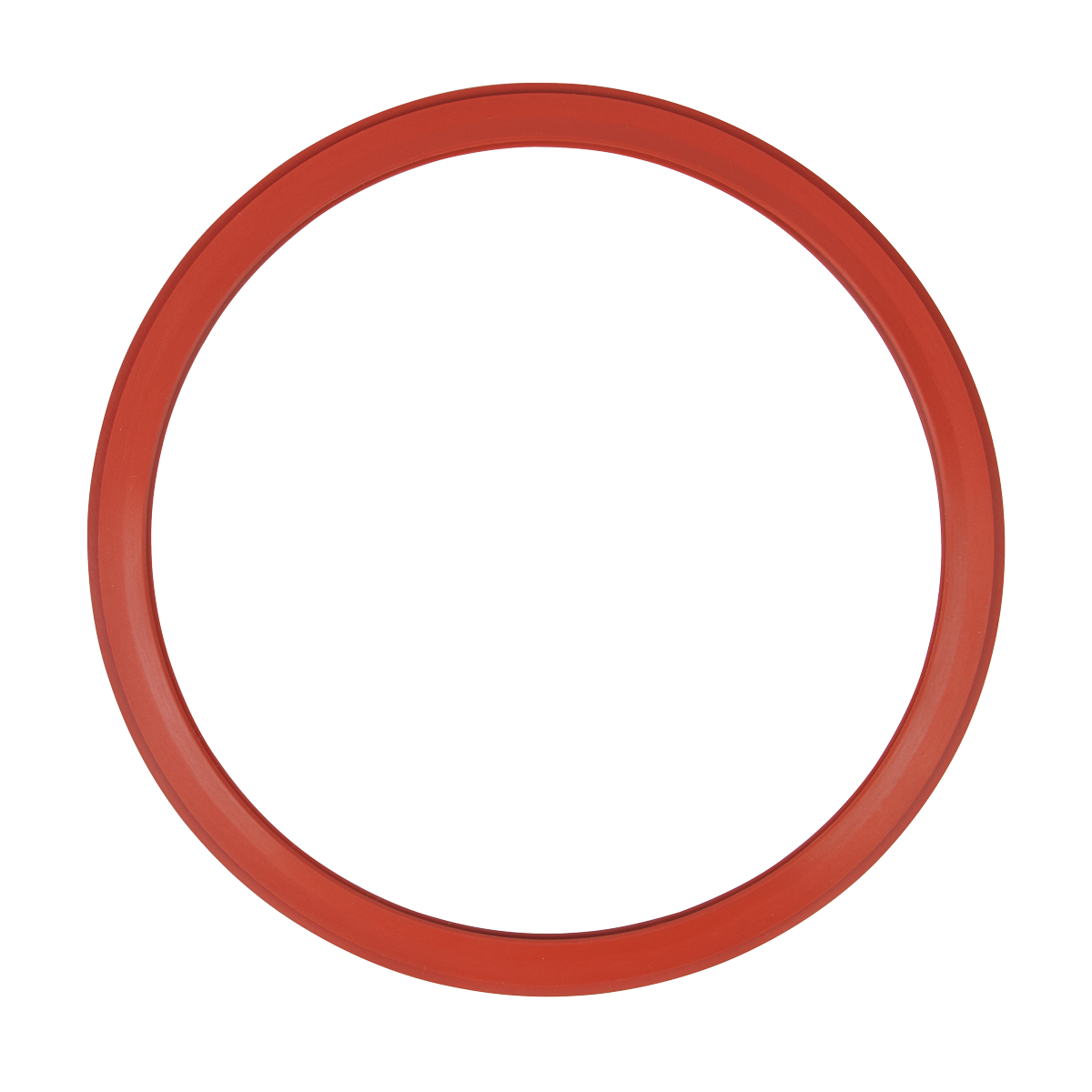 Door Gasket (Pelton & Crane OCM & GN)