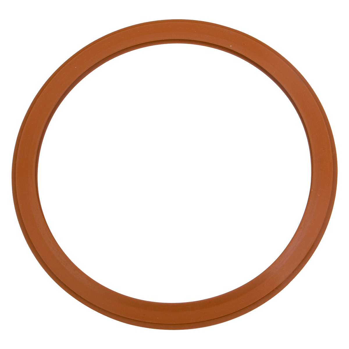 Door Gasket (Pelton & Crane Sentry)