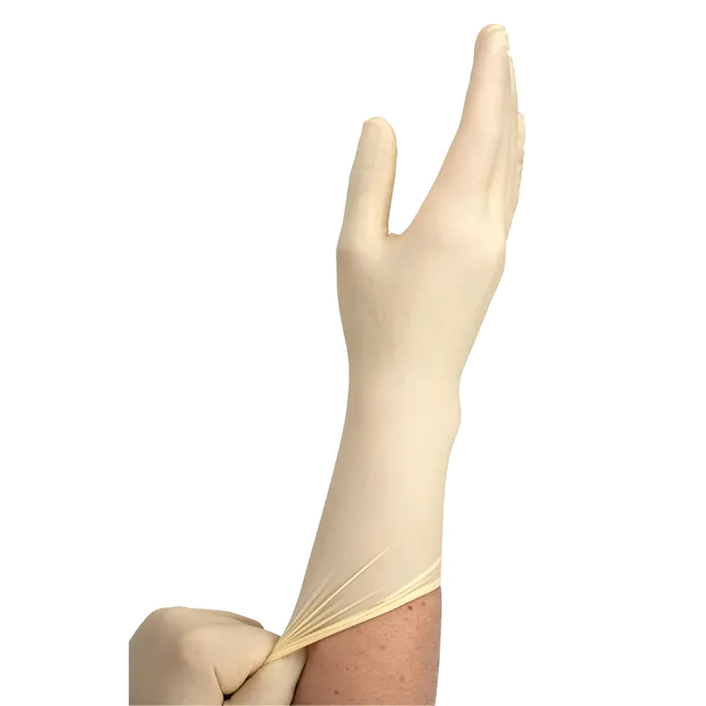 Dynarex Sterile Latex Surgical Gloves