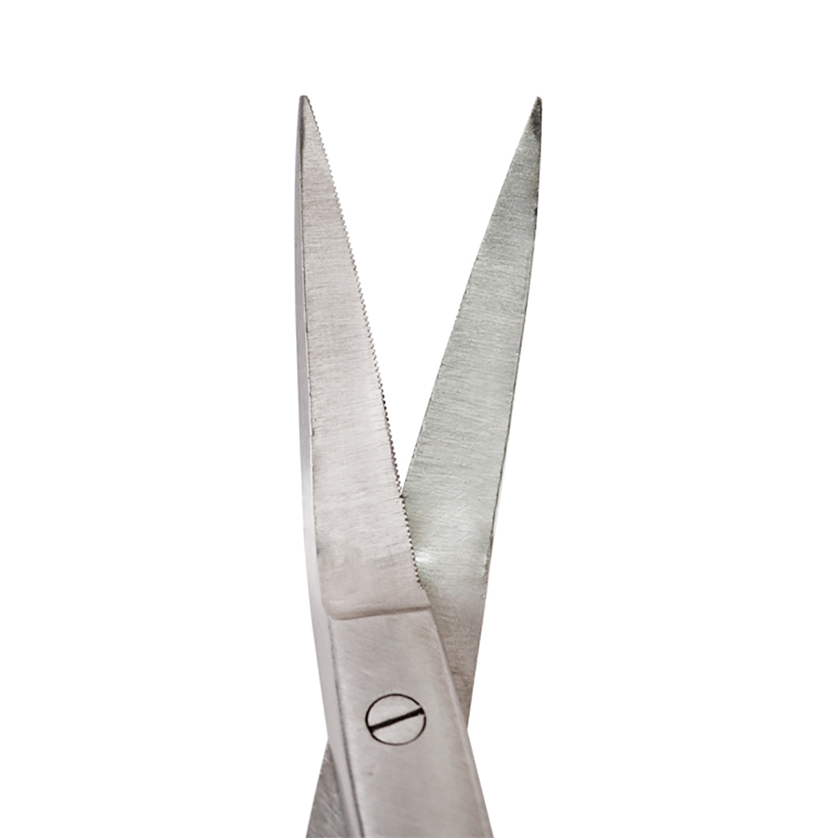 Blades of the Dean Curved Scissors