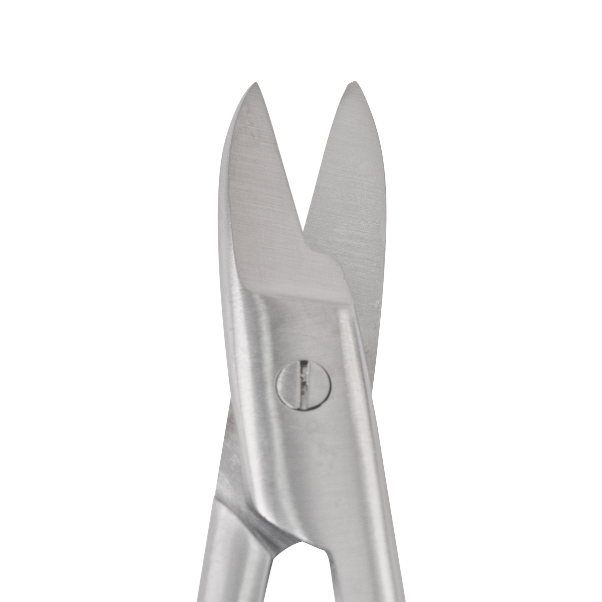 Close-up View of the Straight Crown & Collar Scissors Instrument