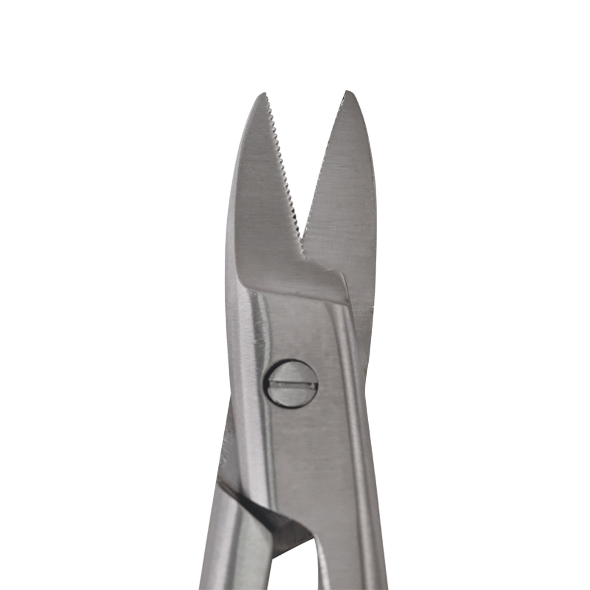 Curved Serrated Blades of the Crown/Collar Scissors