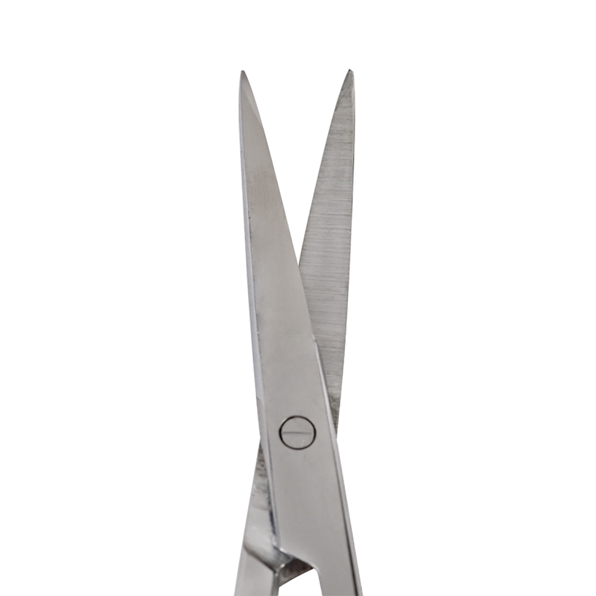 Blades of Straight Iris Scissors