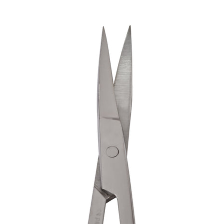 Blades of the Curved Iris Scissors