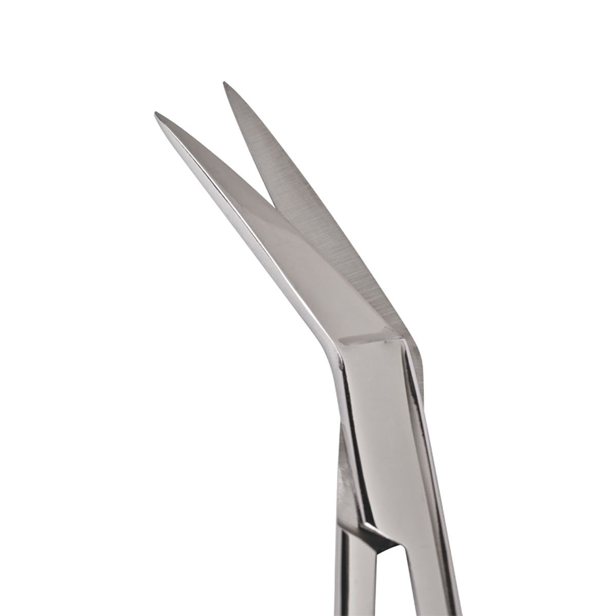 Blades of the Angular Iris Scissors