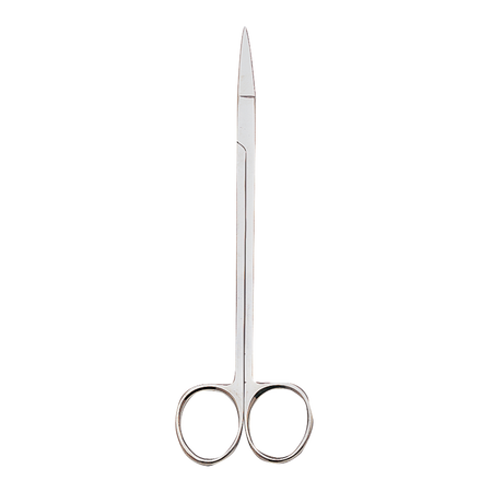 Straight Kelly Scissors