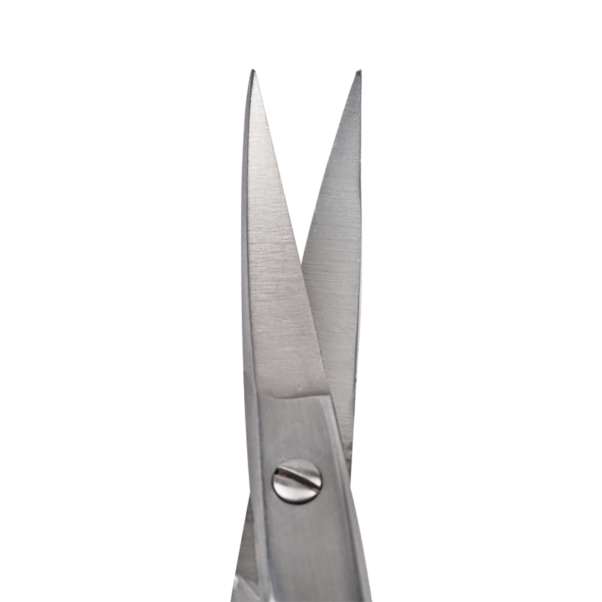 Blades of Curved Kelly Scissors