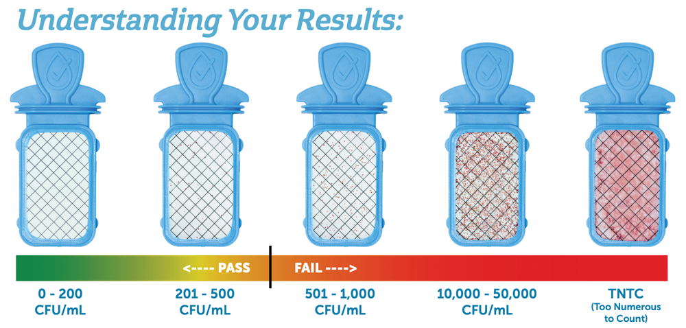 Understanding Your Results