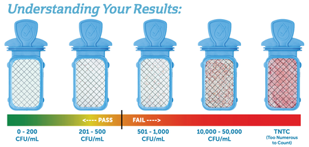 Understanding Your Results