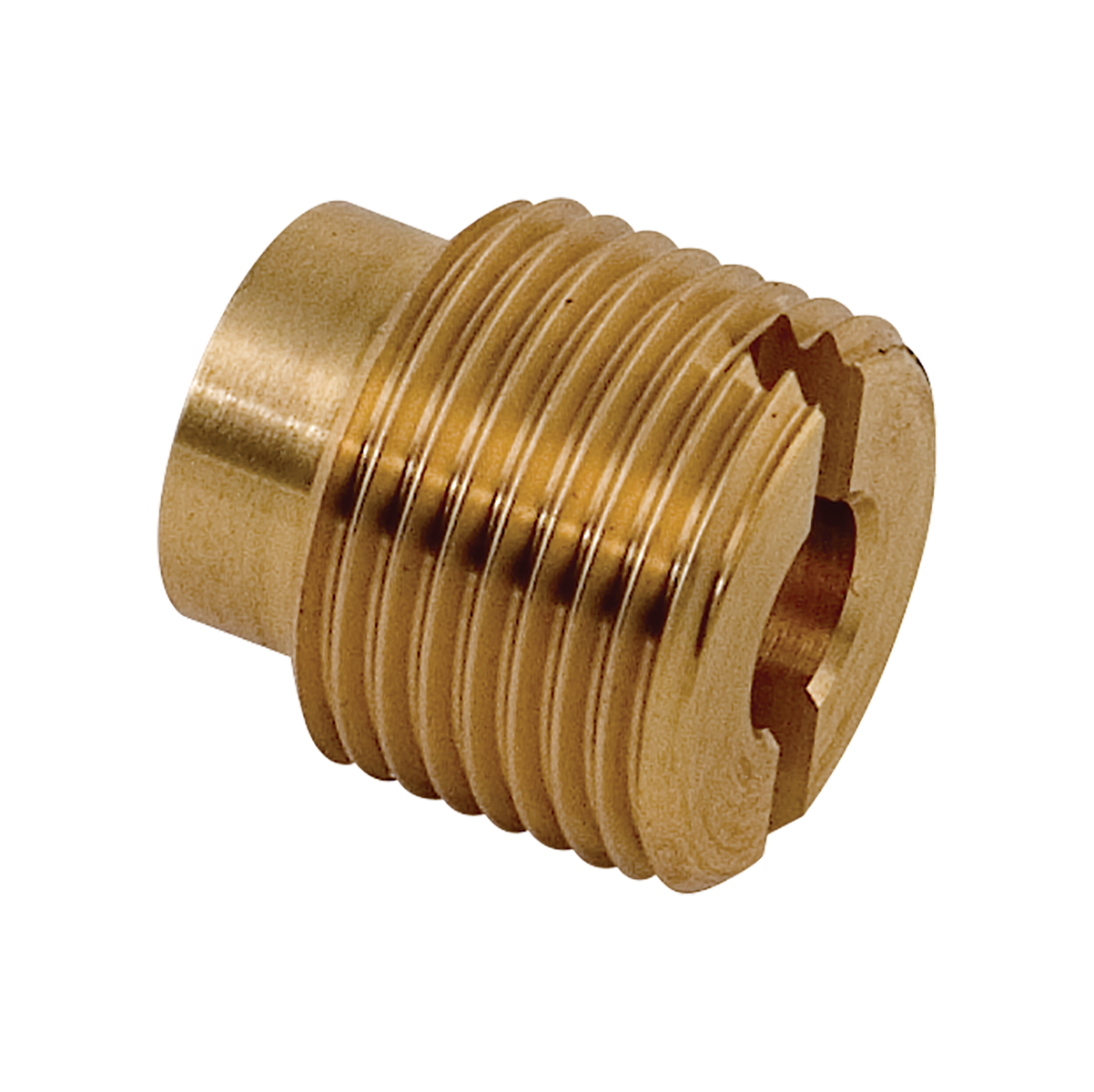 Door Bellows Housing Bolt (Tuttnauer)