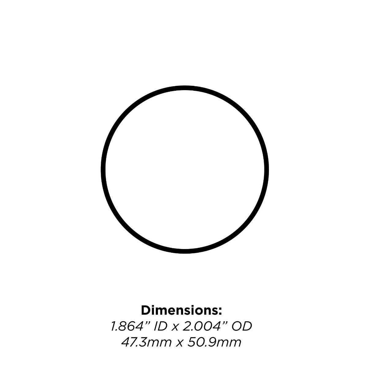 Type B Canister Lid O-ring (1)