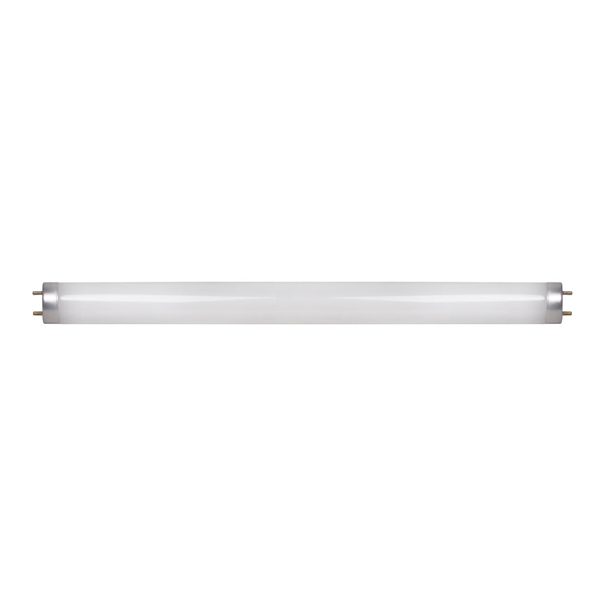 X-ray Viewing Box Bulb (F14T8/D15)