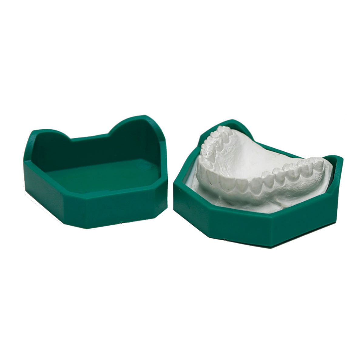 Model Form Bases Kit