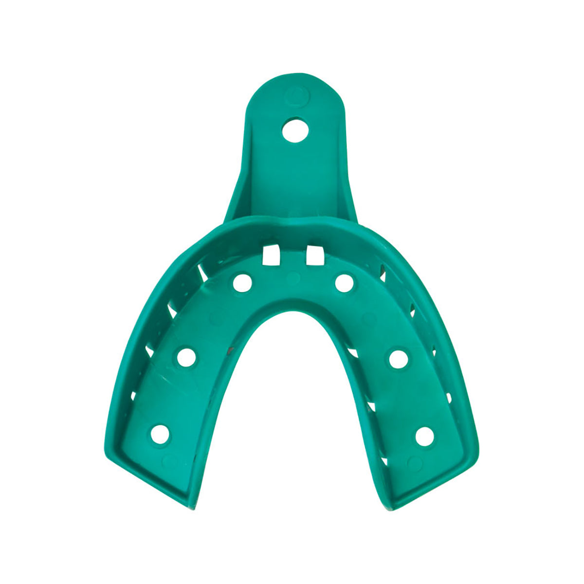 Large Lower Style of the Bosworth Bo Impression Trays