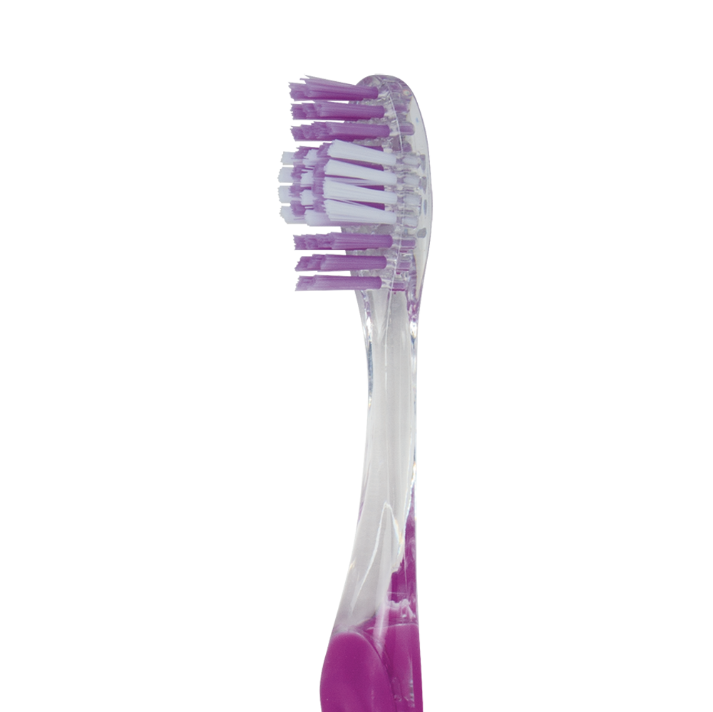 Close-up View of Toothbrush Head