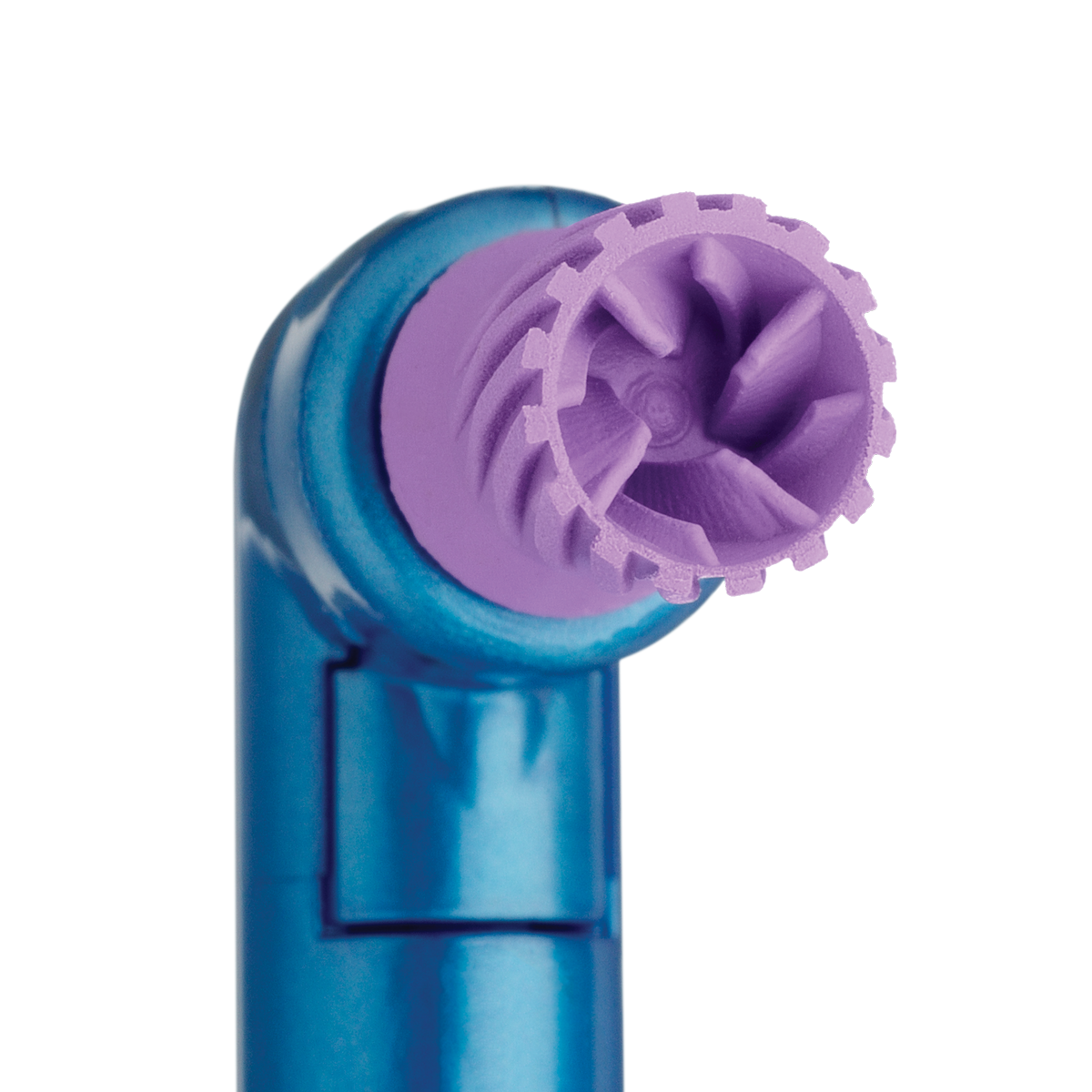 Close-up View of the Ridged Prophy Cup
