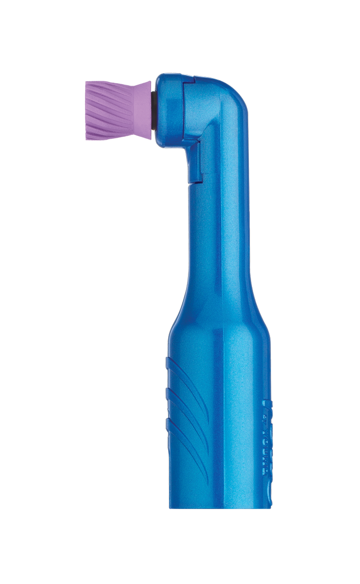 Young Vera Elite Original Prophy Angles (Pkg. 750)