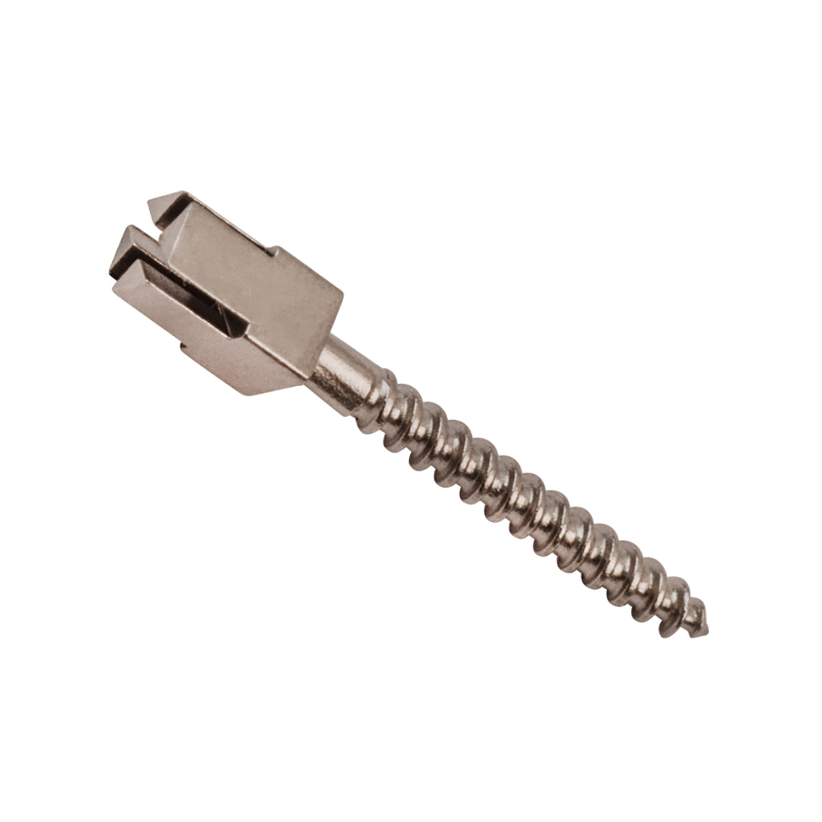Stainless Steel Cross Head Endo Screw Posts (12 mm)