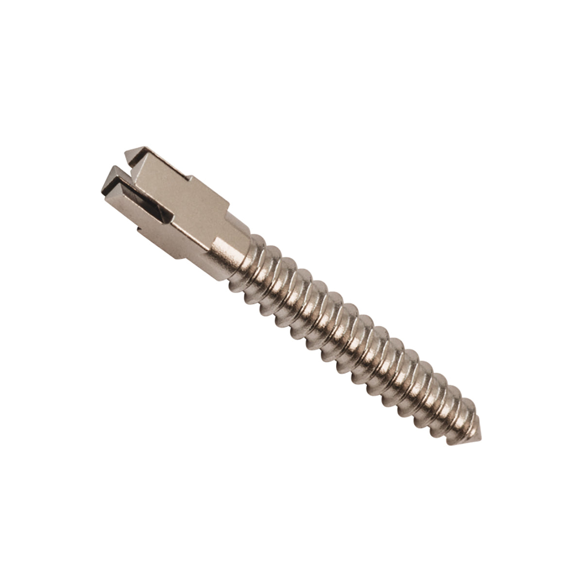 Stainless Steel Cross Head Endo Screw Posts (14 mm)