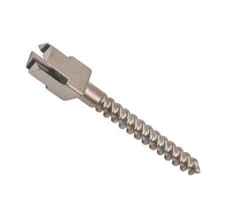 Titanium Composite Head Endo Screw Posts (12 mm)