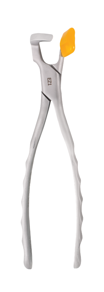 Directa Physics Forceps (Molar EZ1)