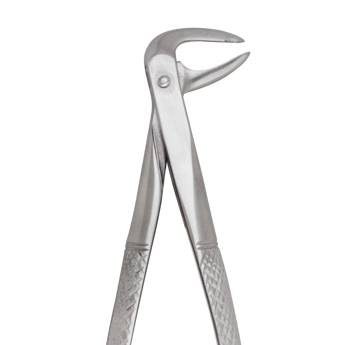 Extracting Forceps #74N Lower