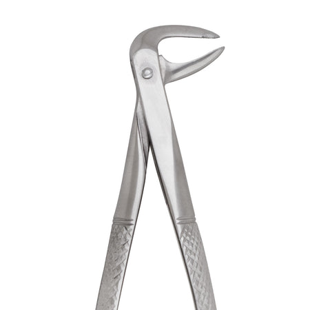 Extracting Forceps #74N Lower