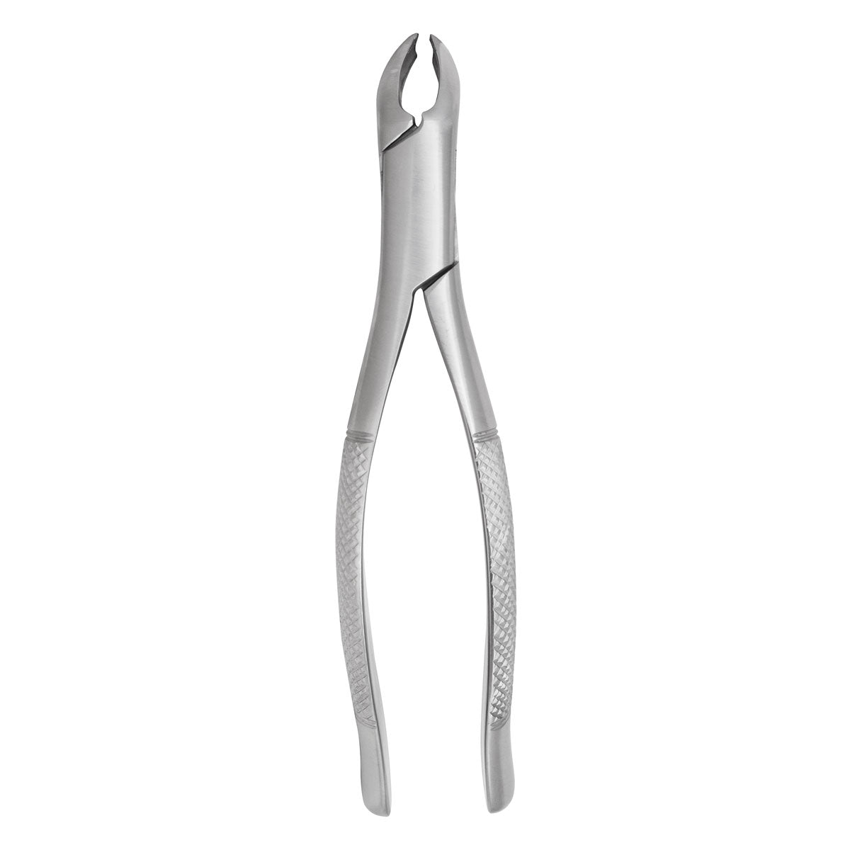 Extracting Forceps #151 Lower
