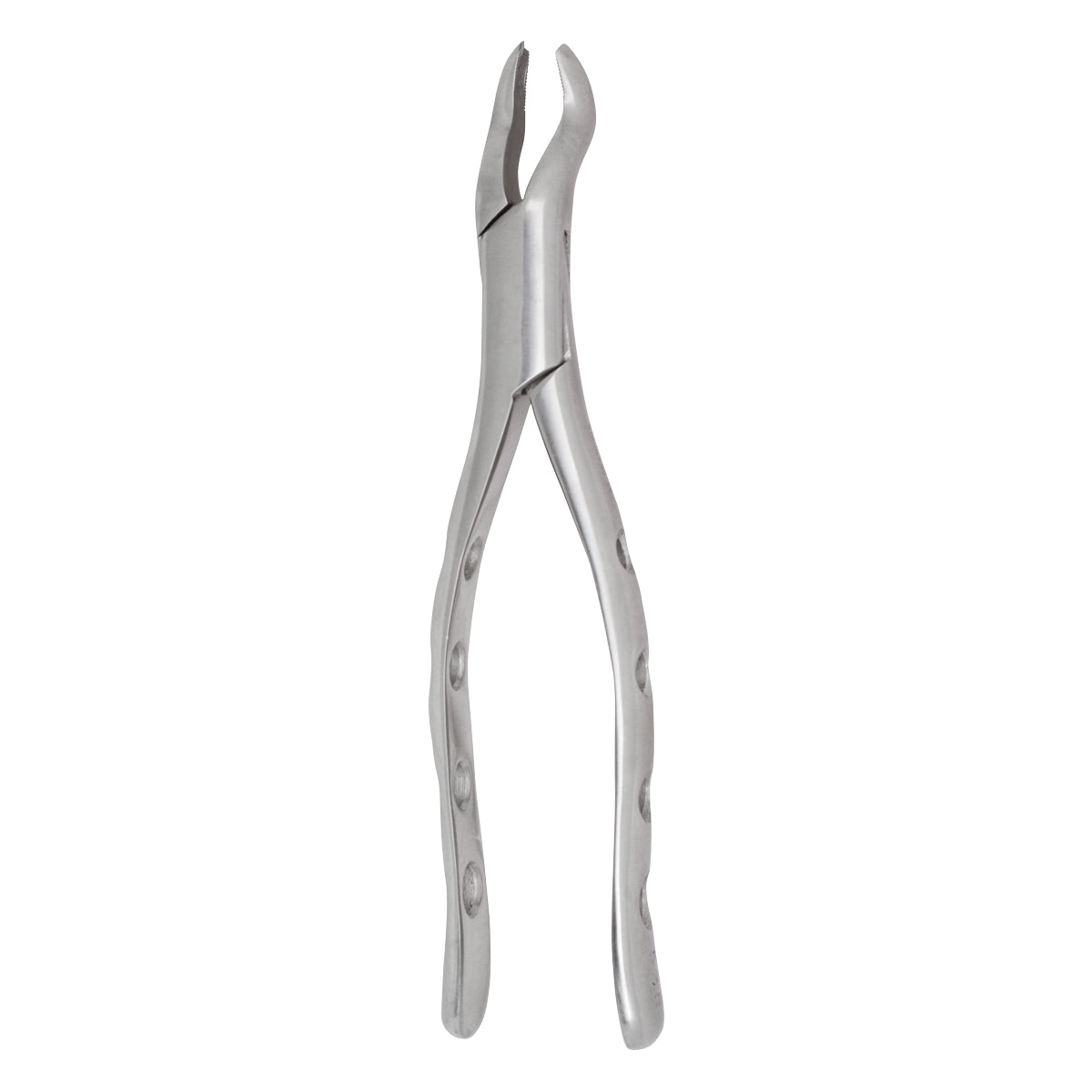 Extracting Forceps #53R Lower